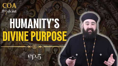 What is the purpose of Life Humanity’s Divine Purpose